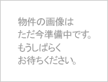�̿�